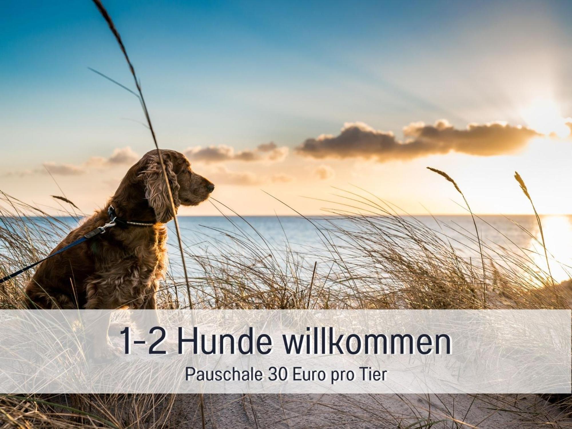 Penthouse - 3 Schlafzimmer- Sonnige Dachterrasse -Whirlpool & Alpenblick - Perfekt Fuer Romantik Oder Familienurlaub Mit Kind, Hund Willkommen - By Ferienwohnenamsee - Uberlingen Exterior photo